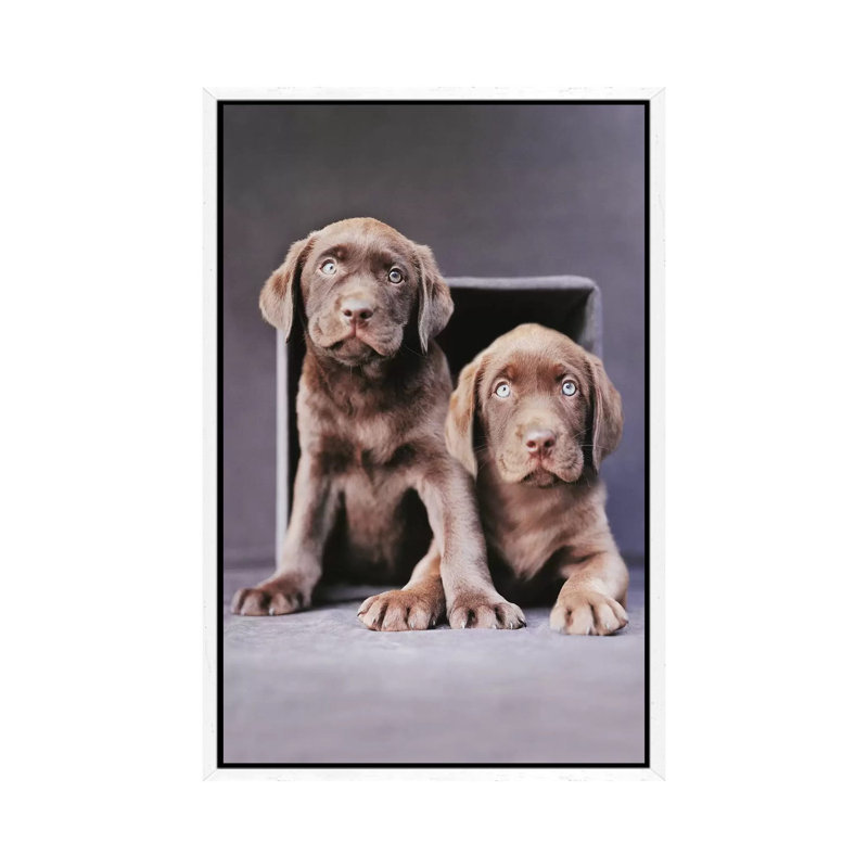 Yardan And Yosemite by Rachael Hale - Print on Canvas, 101.6 cm H x 66.04 cm W, White Framed