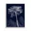 Fleur foncée, giclée, art par Albert Koetsier-999482294-999482295
