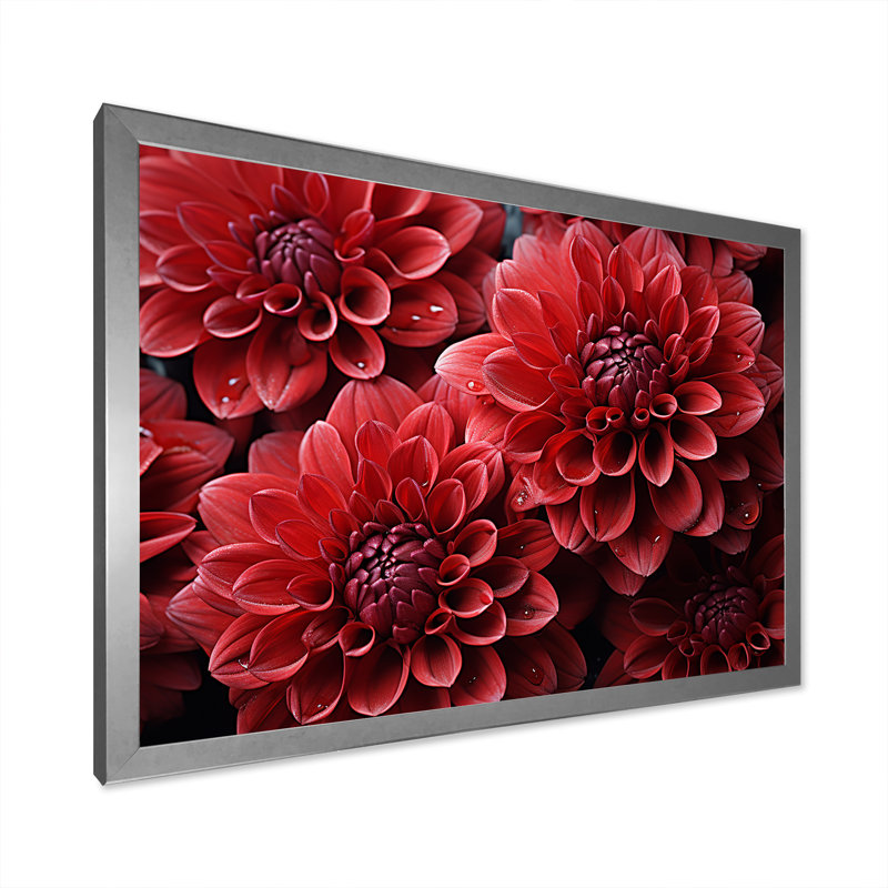 «Crimson Mums Elegance Blooms» - art mural sur toile Mums, Cadre simple argenté, H 12 po x l 20 po x P 1 po