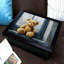 Breakfast Tray
