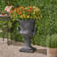 JARDINIER À JARDIN-665230046