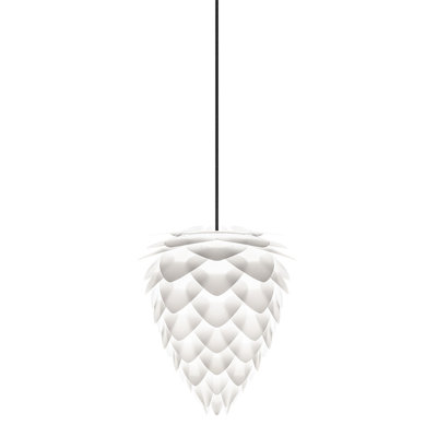 1 - Light Unique/Statement Pendant