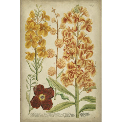 Weinmann Tropical Floral I - Painting