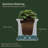 20 Inch Self-Watering Square Planter, Weather Resistant for Patio, Porch & Entryway Blooms-147311119