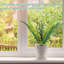 19,7 plante