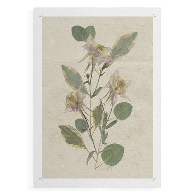Pressed Arrangement III -Canvas Print Only - NOT FRAMED