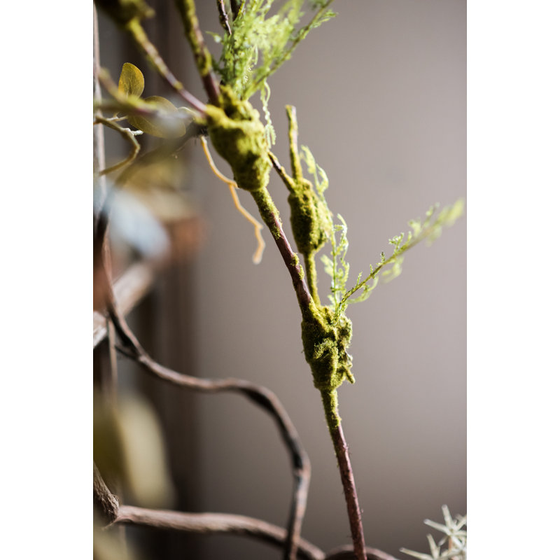 Moss Arrangement