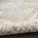 Castanon Oriental Gray Area Rug
