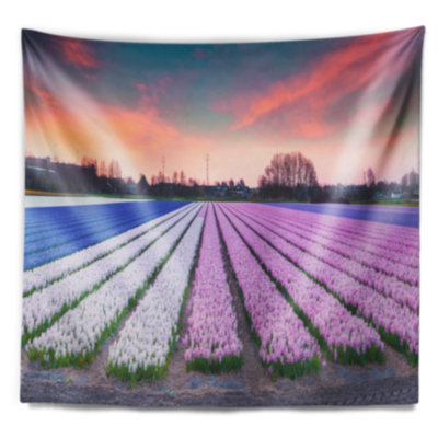 Fleurs de hyacinthe coloré de photographie à la tapisserie de sunrise