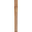 Attelle de genou Legacy-64751483-64784686