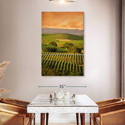 Alvord Carneros Vineyard