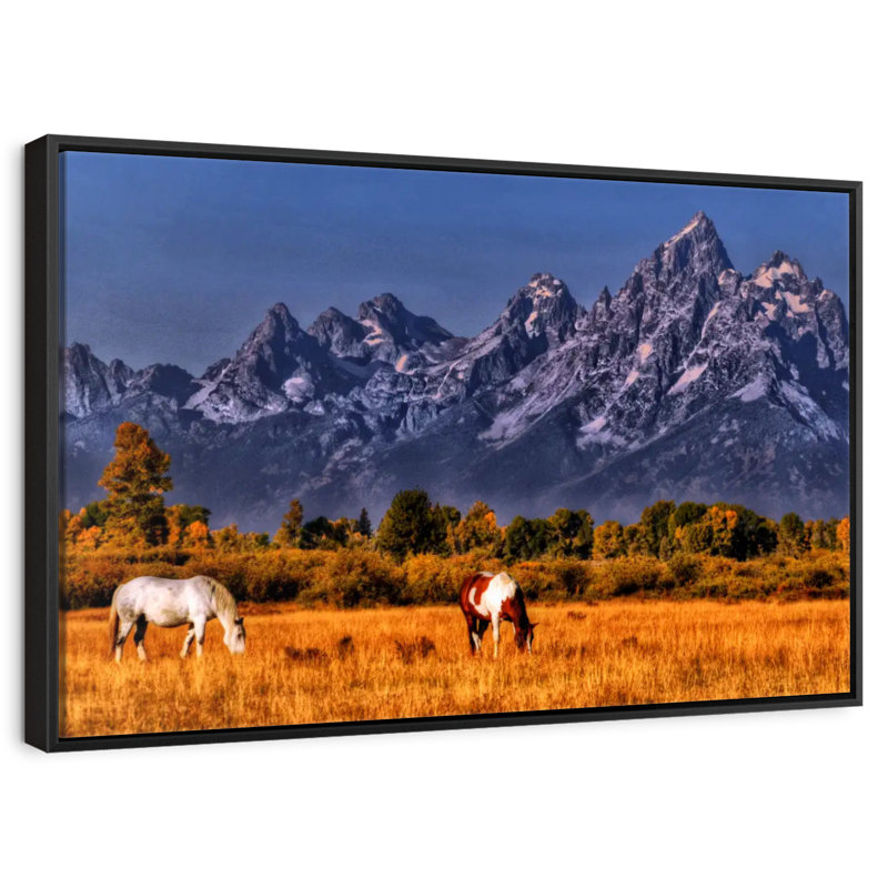 Chevaux paissant à Grand Teton, 25 po x 17 po, Cadre flottant noir