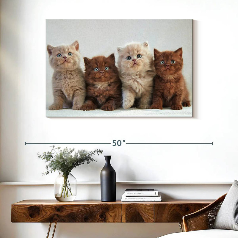 British Shorthair Cats, 26" H x 39" W
