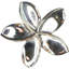 Poignée large Plumeria-104672778-126755984-39948783