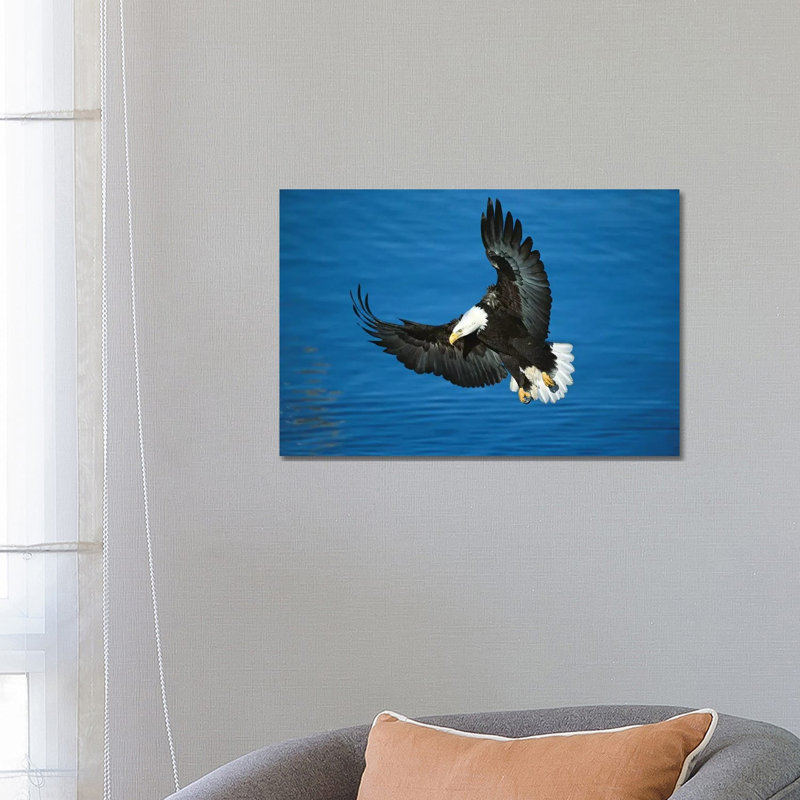 Bald Eagle Flying Over Water, Kenai Peninsula, Alaska by Tom Vezo - Wrapped Canvas Print