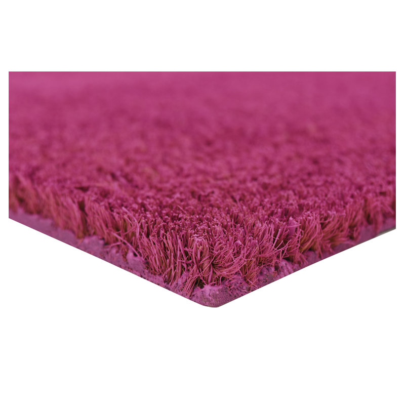 Tapis d'entrée antidérapant Kasper, L 24 po x L 36 po, Magenta