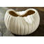 Organic Ribbed Earthenware Decorative Bowl