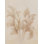 " Pampas Glow II Crop " by Julia Purinton