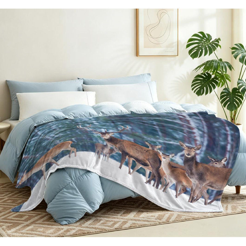Jeté en molleton brun flanelle ultra doux, imprimé paysage d'hiver, Jeté 50 po x 60 po