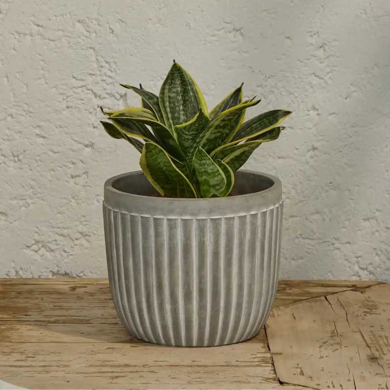 Pot Planter
