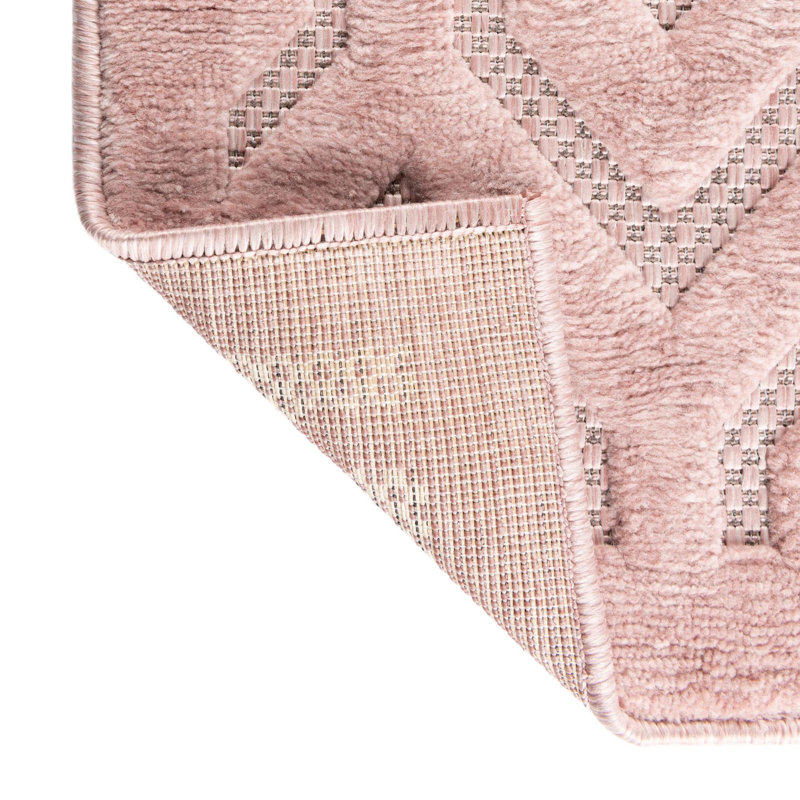 Outdoor Muzzicon Area Rug Pink-Light Pink Color, Rectangle 2' x 3'