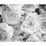 Tala Floral Wall Mural