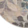 Leeming Floral Indoor Rug