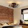 Ketara 18.1" Low Profile Caged Ceiling Fan With Lights Kit And Remote Control