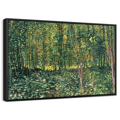 Arbres et sous-bois