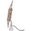 10-Light Capiz Bethleham Star with Seahorse Tree Topper