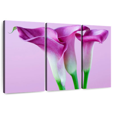 Trois lys mauves Harnek