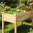 Raised Garden Bed