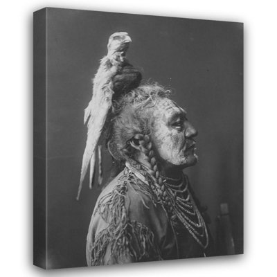 Bungalow Rose Curtis, Edward Gallery Wrapped Canvas Art Titled: Two Whistles, Apsaroke