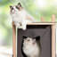 Cabane dans les arbres Catit Vesper, petit