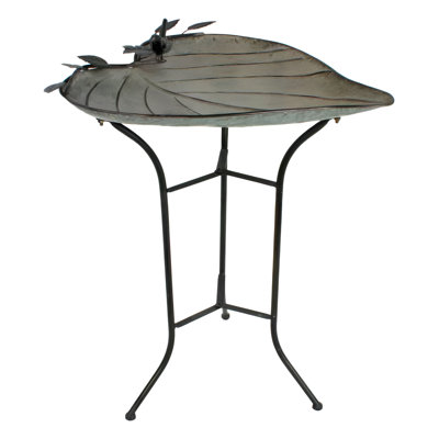 Bain d'oiseaux en métal