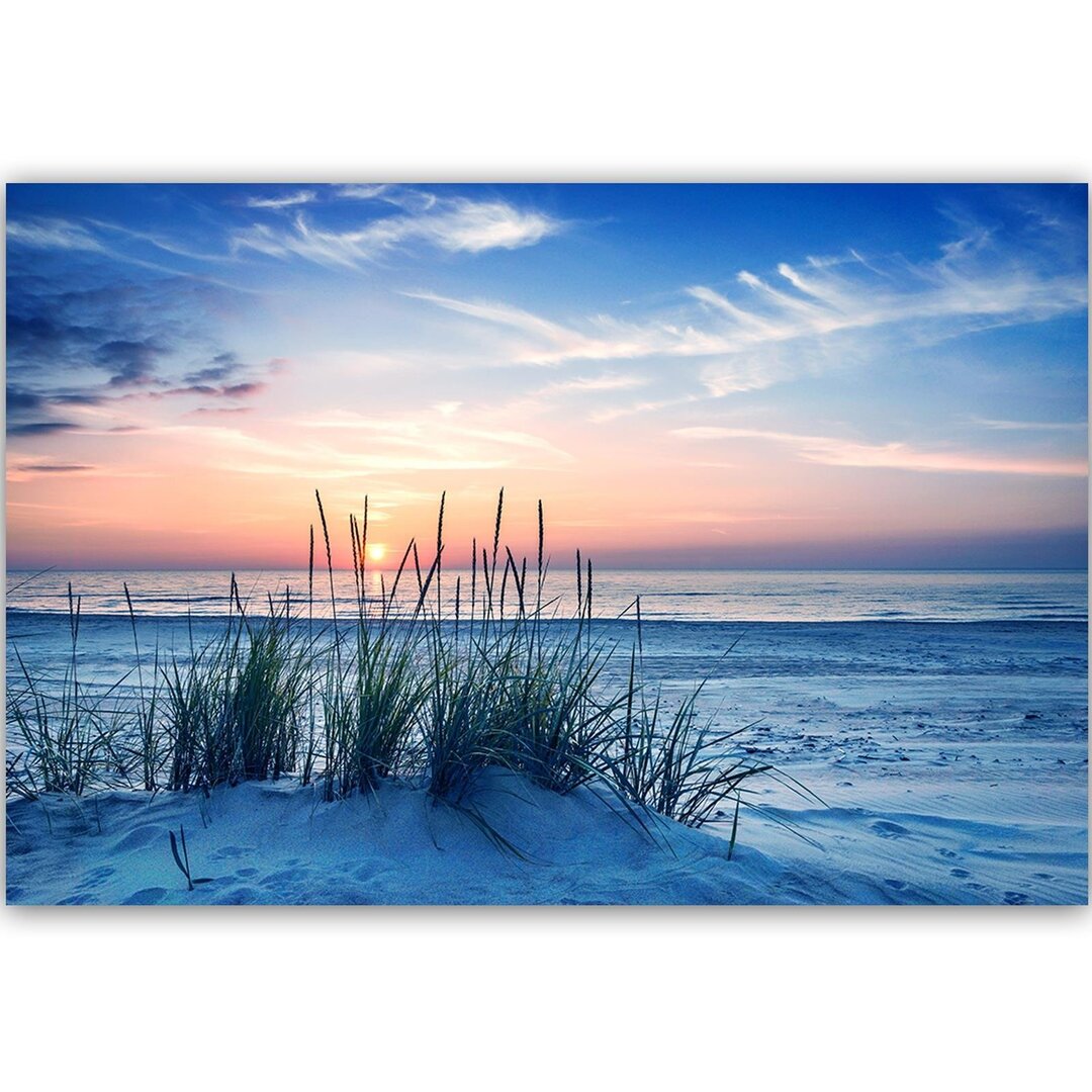 Leinwandbild Gras am Strand 4