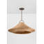 Luminaire suspendu 1 lumière Baychester-93544864
