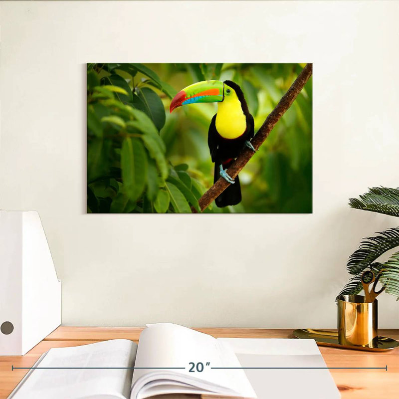 Brampt Toucan On A Tree, 8" H x 12" W