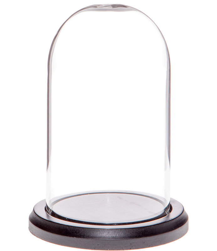 Cloche en verre 3 "x 5" Vucciria, Structure noire en bois