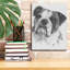 «American Bulldog» par Barbara Keith-1356925392