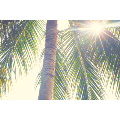 Palm leaves against sunset