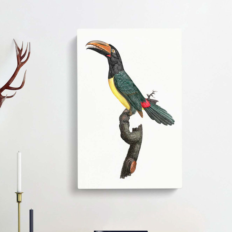 Green Aracari Toucan by Jacques Barraband - Wrapped Canvas, 50cm H x 35cm W x 3cm D
