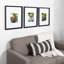 Baislee Matte Picture Frame - Set of 3 with Mat-1018090262