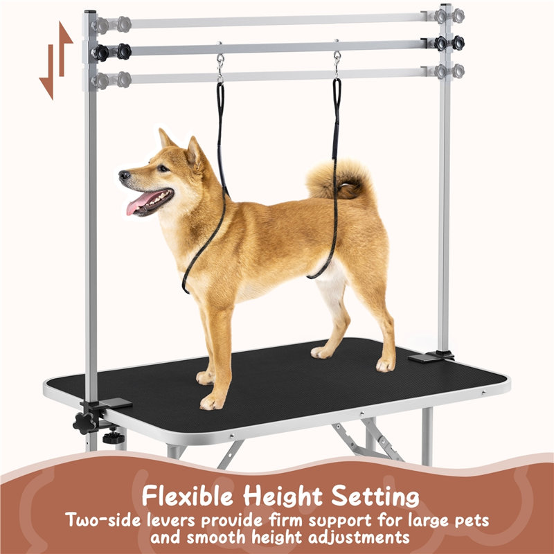 Pet Grooming Table with Loop Noose and Mesh Tray, Black