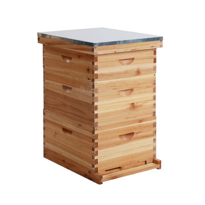 Ensemble de ruche à 10 couches à 10 cadres - ruche Langstroth complète pour l'apiculture