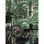 Palm Leaf White Green Wallpaper