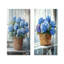 Hydrangeas In A Farm Basket I - Floral Canvas Prints 2 Panels Collection-1325770207-1325770206