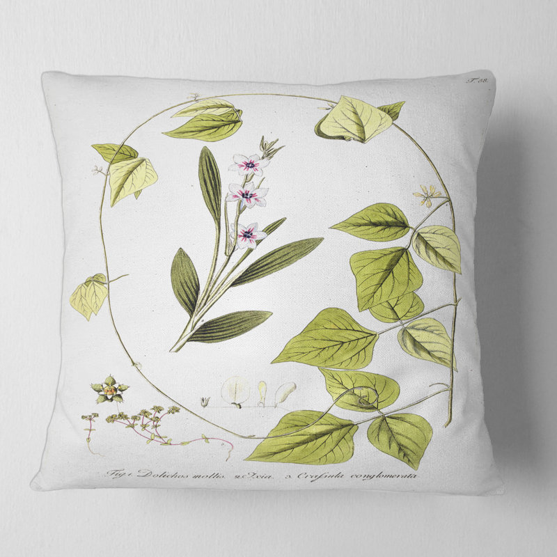 Coussin décoratif rétro Vintage Botanicals XXI, 16" x 16"
