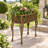Wensley Metal Plant Stand