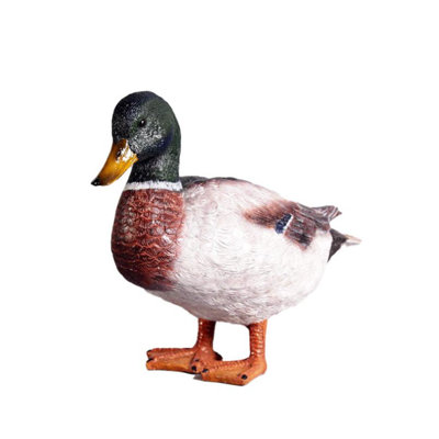 Statue mâle canard colvert